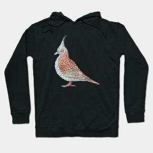 Crested Pigeon Hoodie